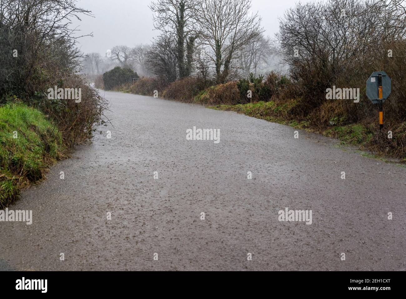 Kilmeen, West Cork, Irland. Februar 2021, 19th. Viele Straßen in West Cork sind heute nach einer Nacht von sintflutartigen Regen überflutet. Derzeit gibt es eine Met Éireann gelbe Regen- und Windwarnung, die bis heute 4pm gültig ist. Eine örtliche Straße vor Kilmeen war heute wegen der Überschwemmungen unpassierbar. Quelle: AG News/Alamy Live News Stockfoto