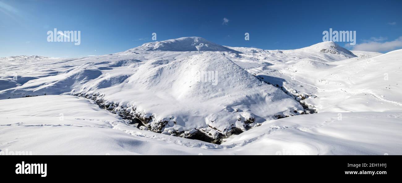 The Tail Burn im Winter , der Strom aus dem abgelegenen Loch Skeen mit White Coomb und Mid Craig als Hintergrund Stockfoto