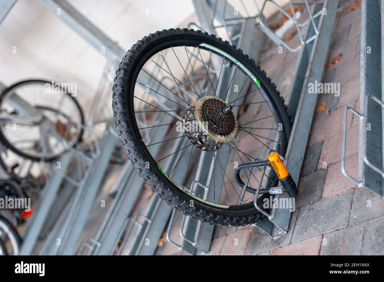 Ein Reifen eines gestohlenen Fahrrads Stockfoto