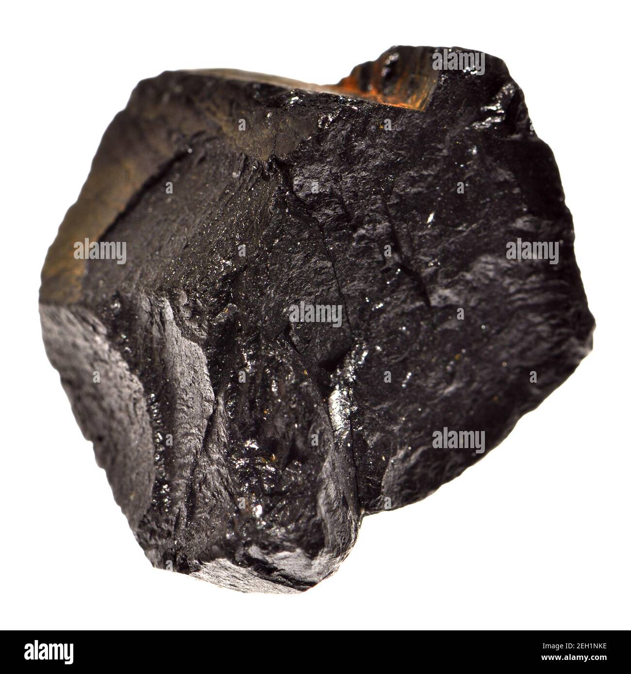 Cannel Coal - Bitumenkohle / Ölschiefer. VEREINIGTES KÖNIGREICH Stockfoto