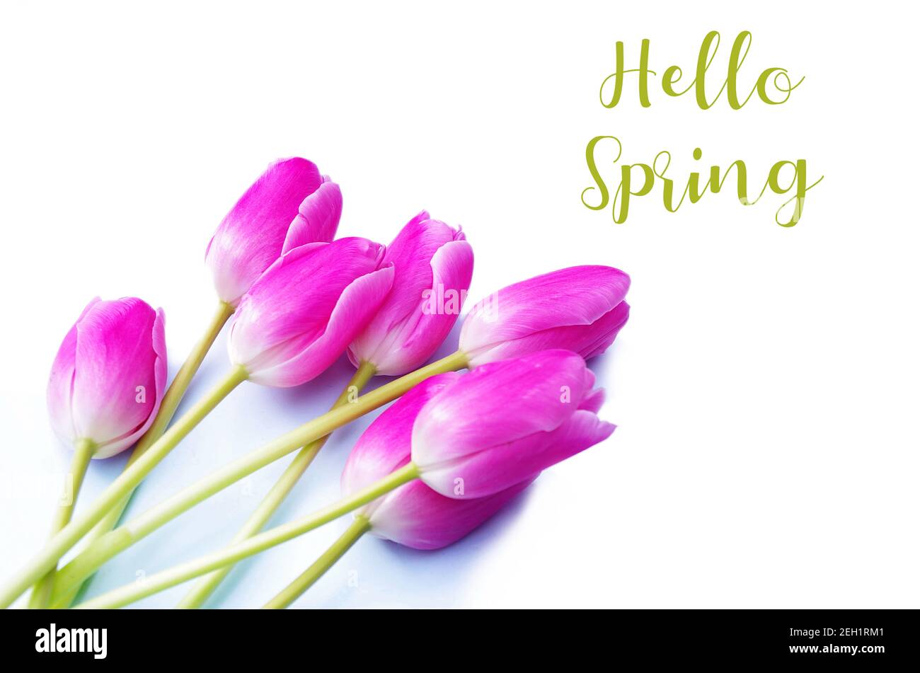 Hallo Frühling Text-Zeichen, schöne rosa Tulpen auf weißem Hintergrund flach legen. Frühlingskonzept und Happy easter Grußkarte, Geschenk, Poster, Webkonzept. Stockfoto