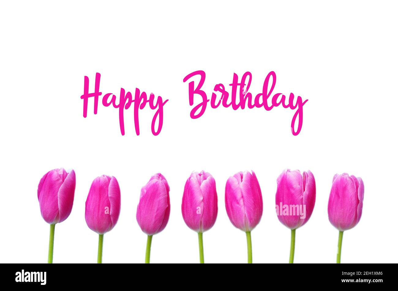 Happy Birthday Text mit rosa Tulpen auf weißem Hintergrund. Grußkarte in Tulpen, schöner Frühlingsstrauß. Blumen Lieferung, Glückwunschkarte. Stockfoto