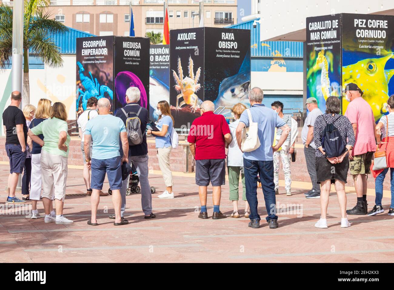 Las Palmas, Gran Canaria, Kanarische Inseln, Spanien. 19th. Februar 2021. TUI Kreuzfahrtschiffpassagiere aus Deutschland und Reiseleiter mit Gesichtsmasken besuchen Aquarium in Las Palmas auf Gran Canaria. Das Aquarium, das während der Pandemie für die Öffentlichkeit geschlossen wurde, hat eine Vereinbarung mit TUI Cruises, nur für sie zu öffnen, wenn TUI Kreuzfahrtschiff im Hafen ist. TUI Inter-Islands-Kreuzfahrten sind seit Dezember mit strengen Covid-Kontrollen im Einsatz. Alle Passagiere kommen auf mehreren TUI-Flügen aus Deutschland am selben Tag an, führen vor der Abreise einen negativen Covid-Test durch, bilden Blasen an Bord Stockfoto