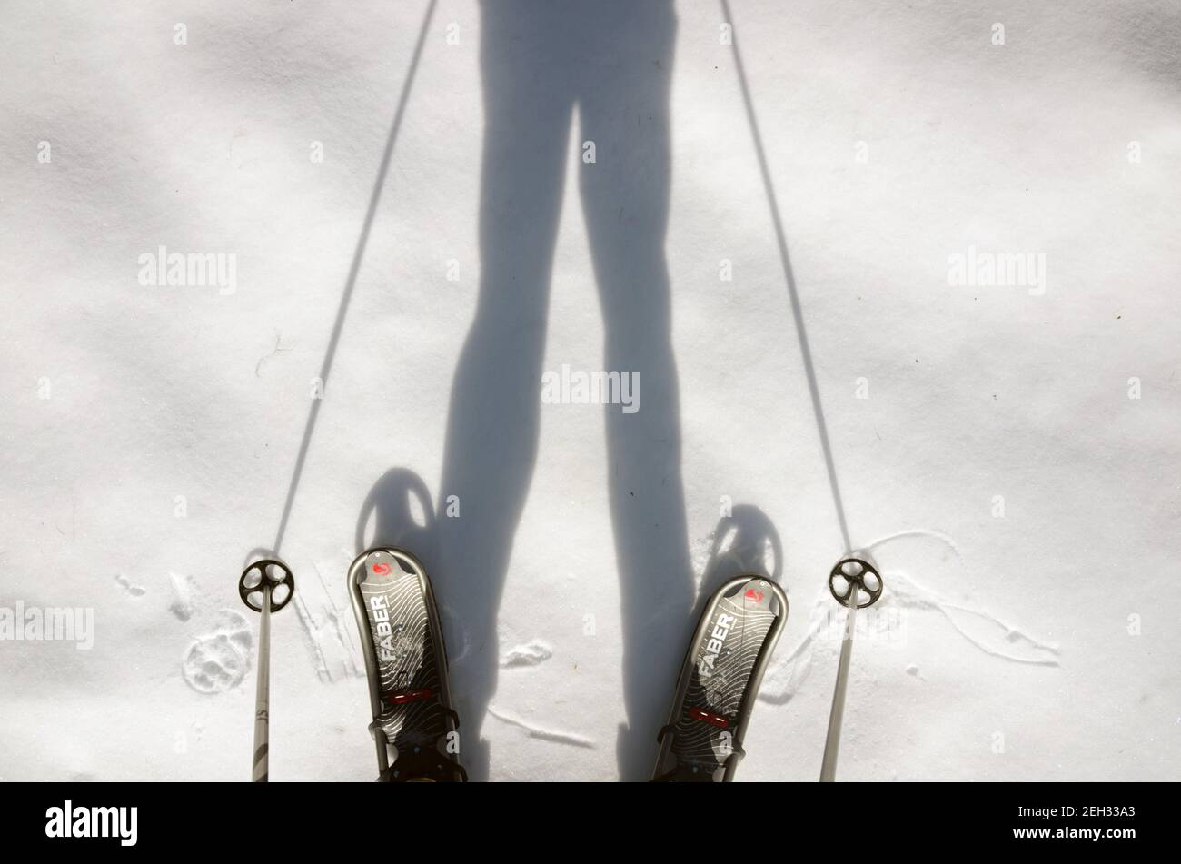 Faber Schneeschuhe und Schatten im Schnee im Winter. Yaak Valley, Northwest Montana. (Foto von Randy Beacham) Stockfoto