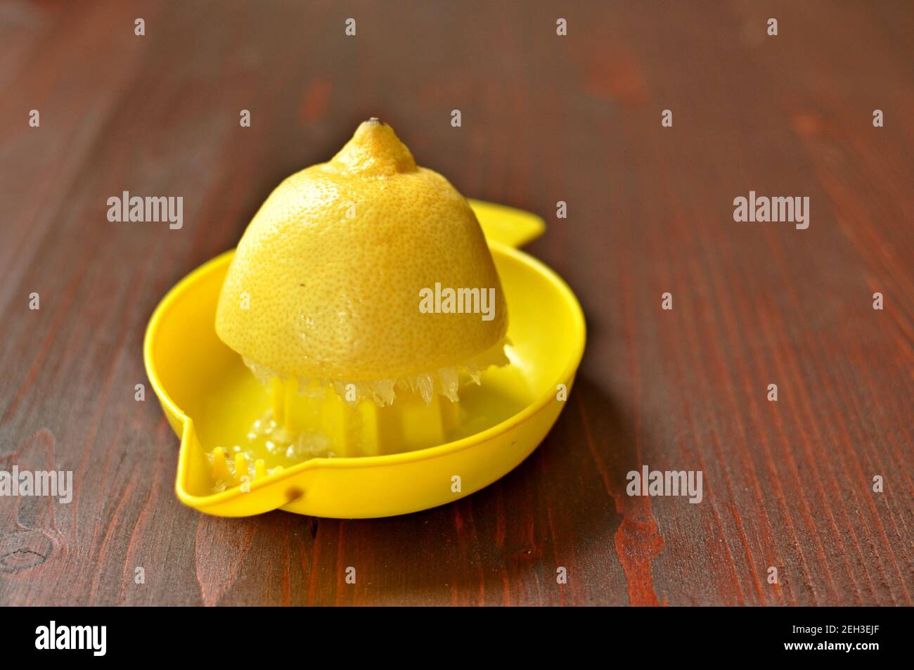 Eine halbe gelbe Zitrone im Entsafter. Stockfoto