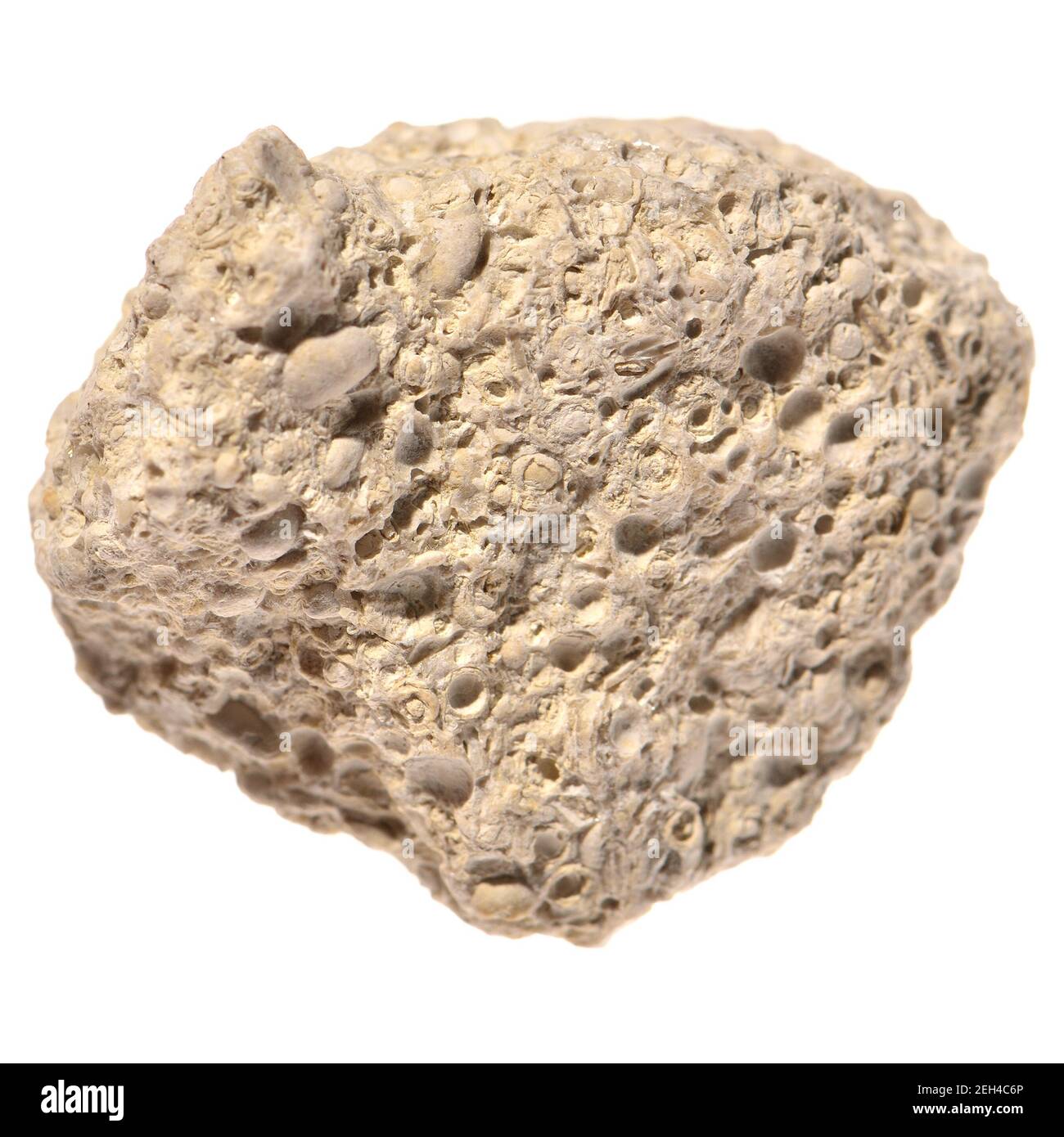 Weißer Granit (UK) Igneous Rock, der Kieselsäure und Quarz enthält. Nahaufnahme einer kleinen Probe Stockfoto