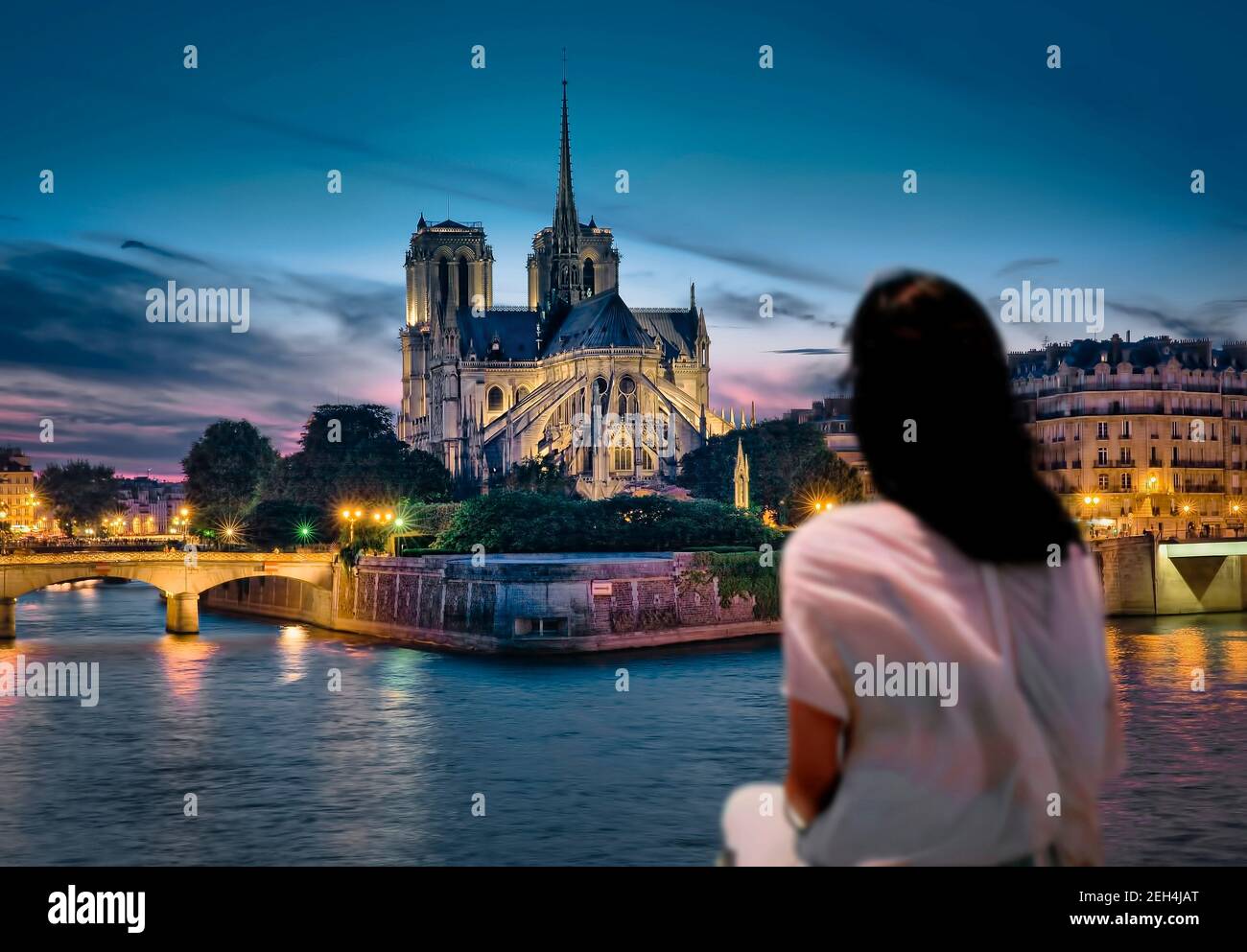Frau mit Blick auf Notre Dame in Paris Stockfoto