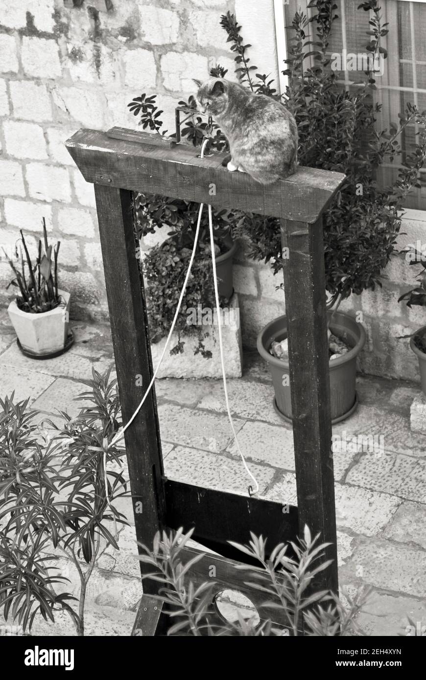 Katze über einer Guillotine. Dubrovnik, Kroatien Stockfoto
