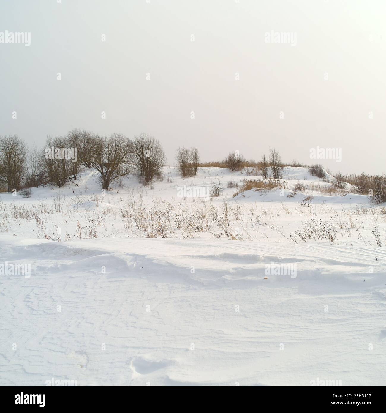 Ein Hügel mit spärlicher Vegetation, tagsüber Winterszene Stockfoto