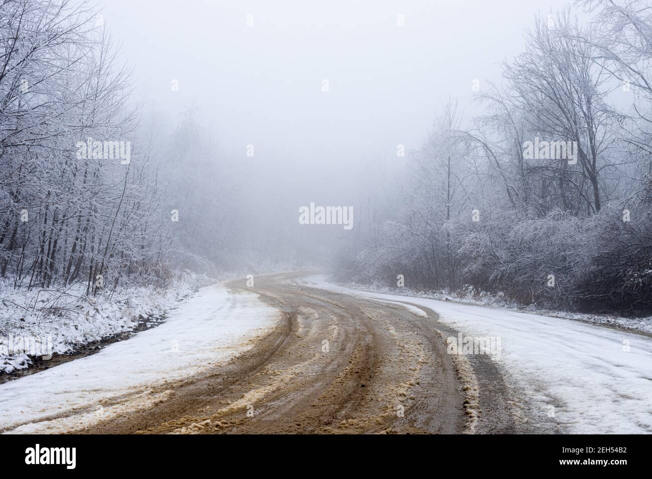 Eine schlammige Straße schlängelt sich durch einen verschneiten Wald. Stockfoto