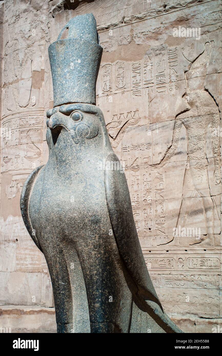 Horus von Edfu genannt Hor-Behdeti Statue, eine Granite Skulptur des Falken Gottes trägt die Kronen von Ober-und Unterägypten am Tempeleingang Stockfoto