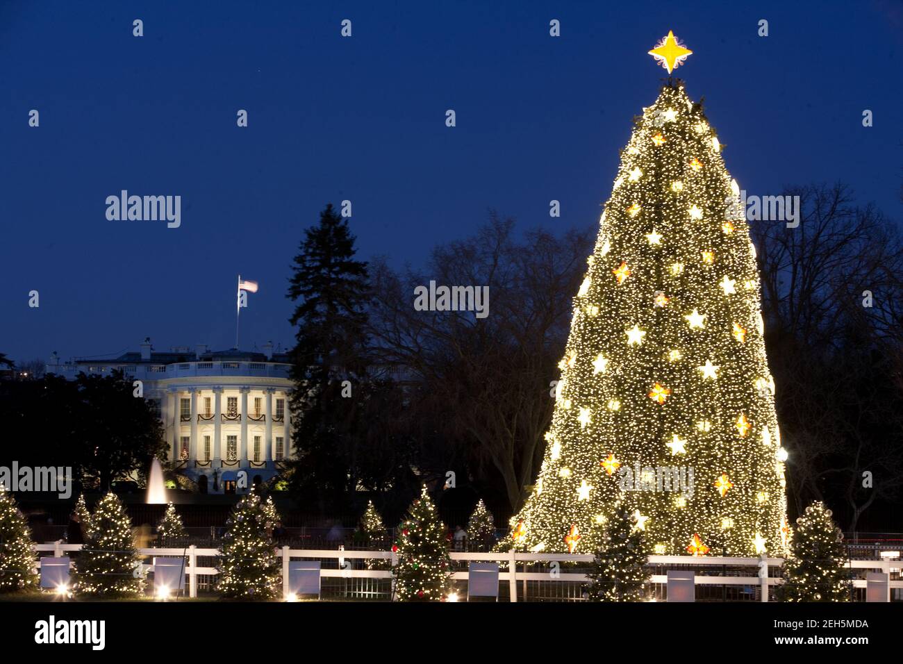 Das Weiße Haus und der Nationale Weihnachtsbaum werden in der Abenddämmerung in Washington, D.C., am 16. Dezember 2009 beleuchtet. Stockfoto