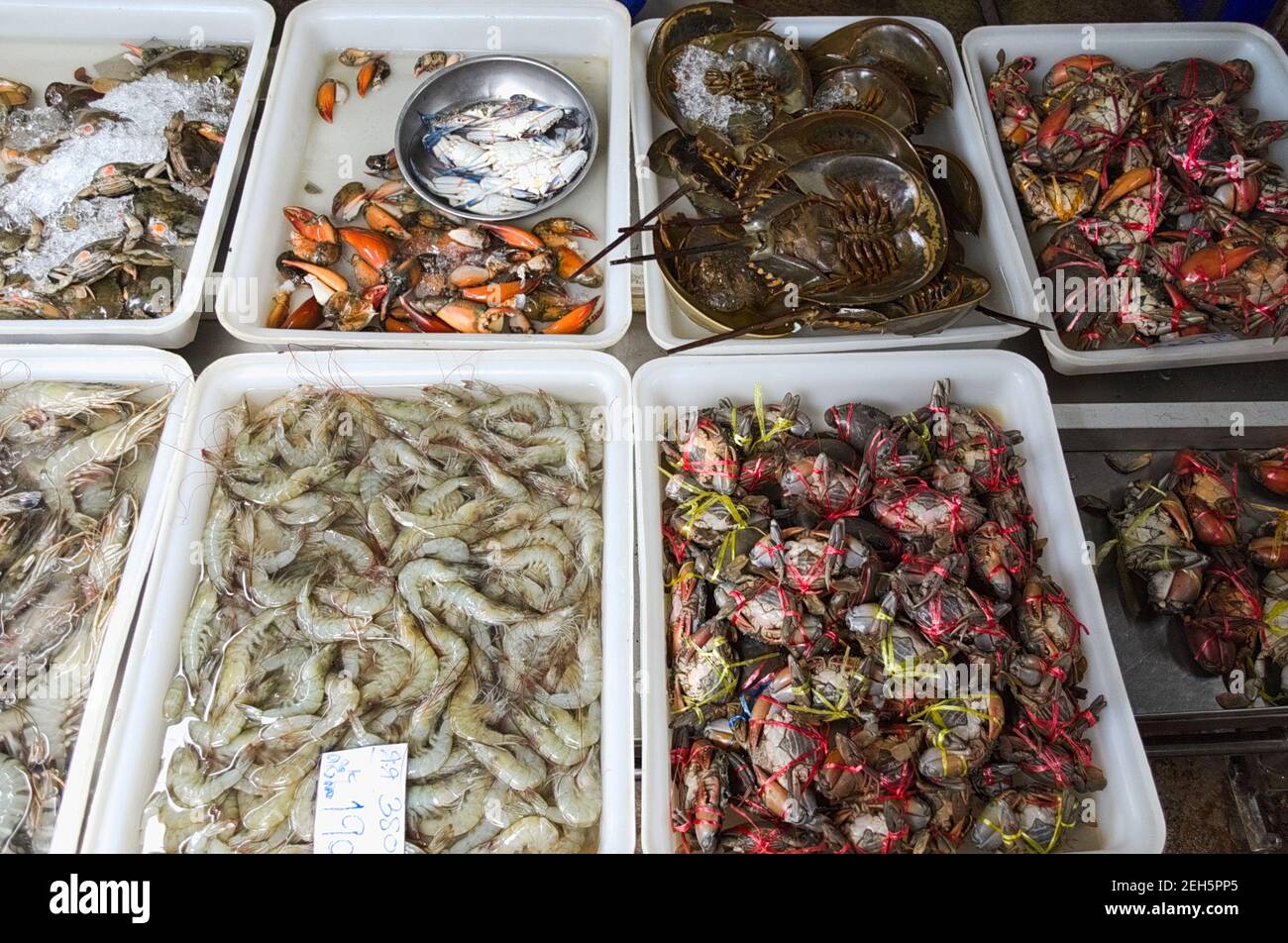 Boxen mit verschiedenen Meeresfrüchten in Wasser. Krabben, Garnelen, Hummer, Hufeisenkrabben. Stockfoto