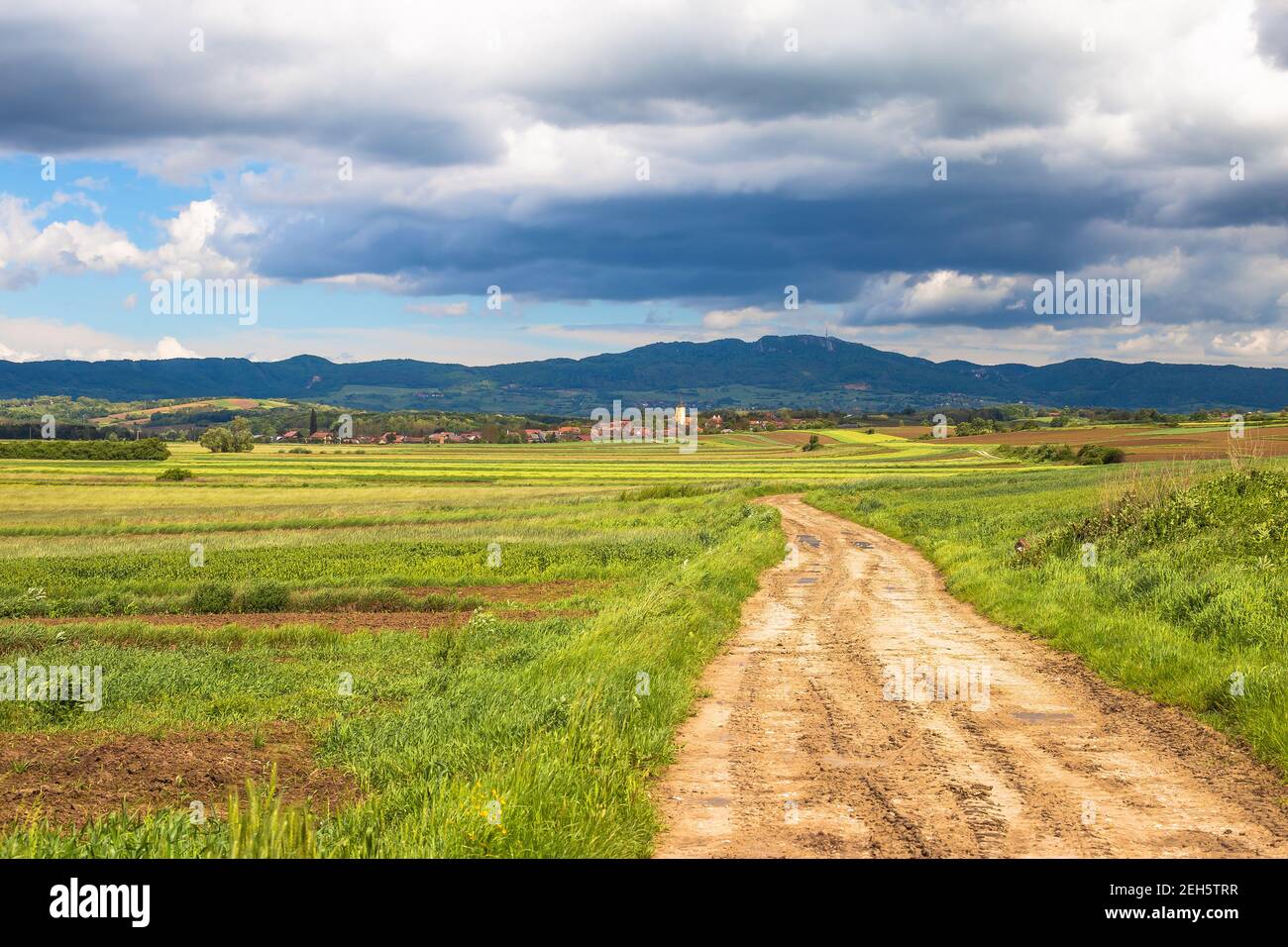 Landstraße durch landwirtschaftliche Landschaft von Prigorje, Dorf von Miholec, Nordkroatien Stockfoto