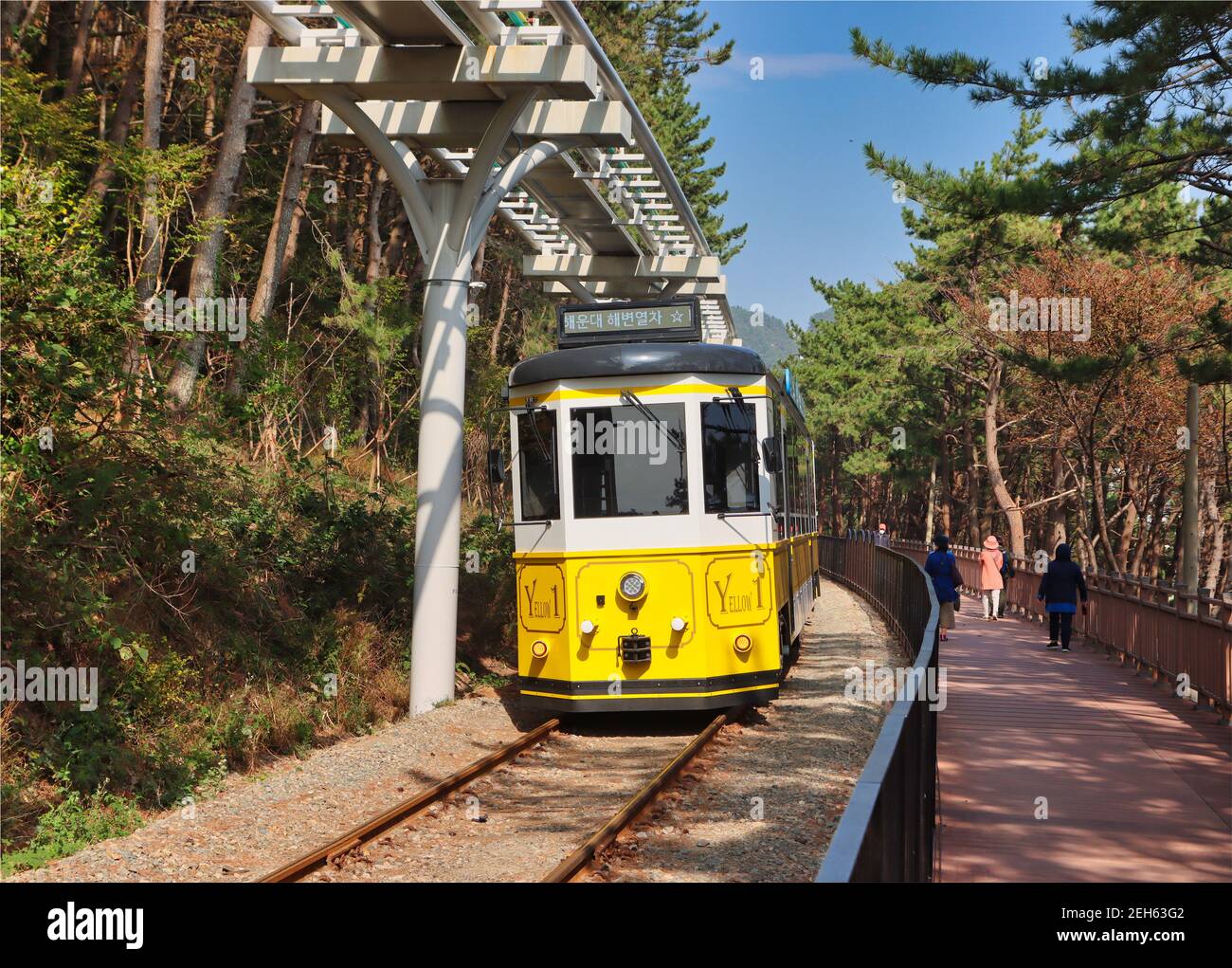 Luftaufnahme des Haeundae Beach Train, Busan, Südkorea Asien. Stockfoto