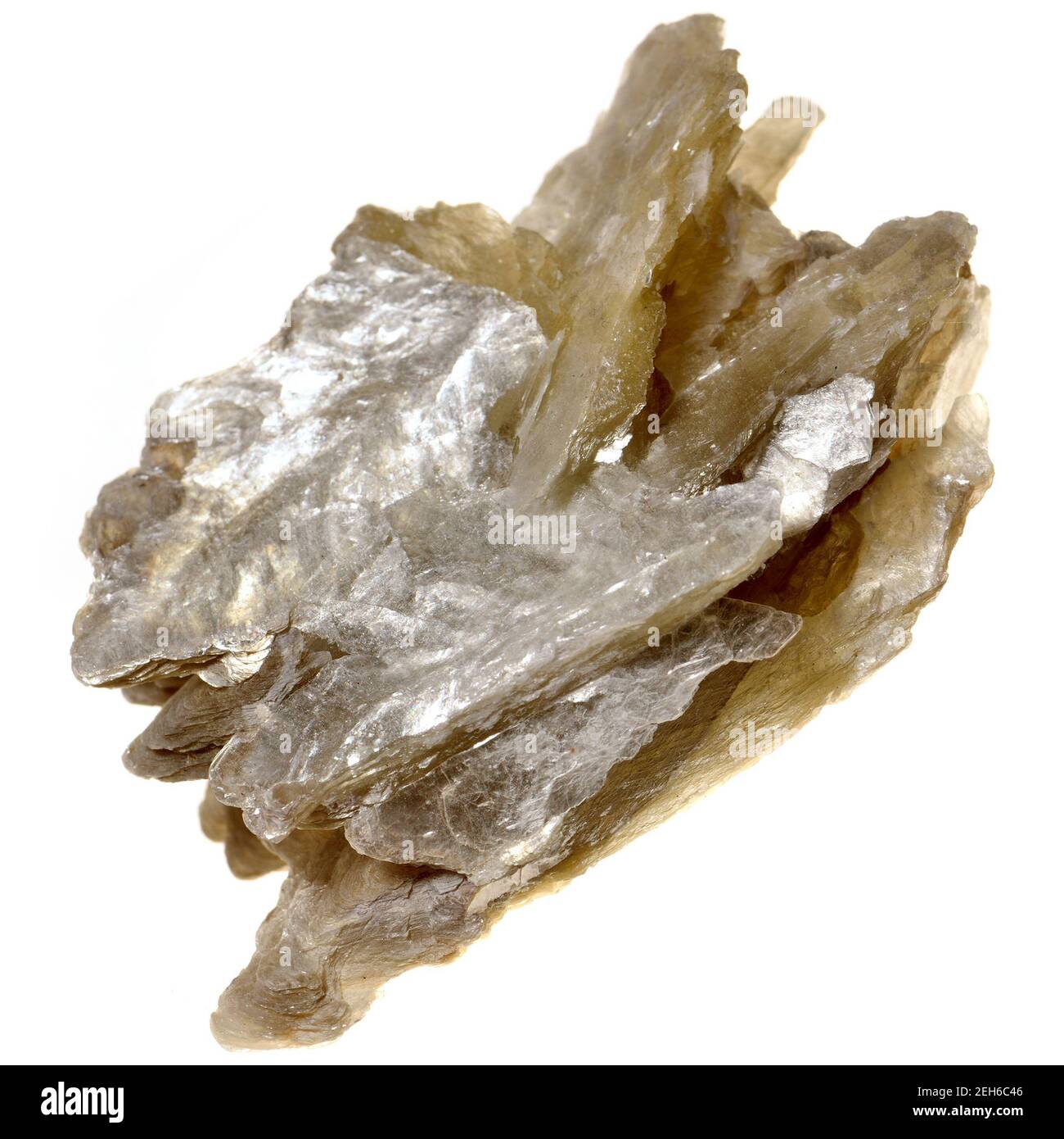Glimmer - Phyllosilikat Mineral Stockfoto
