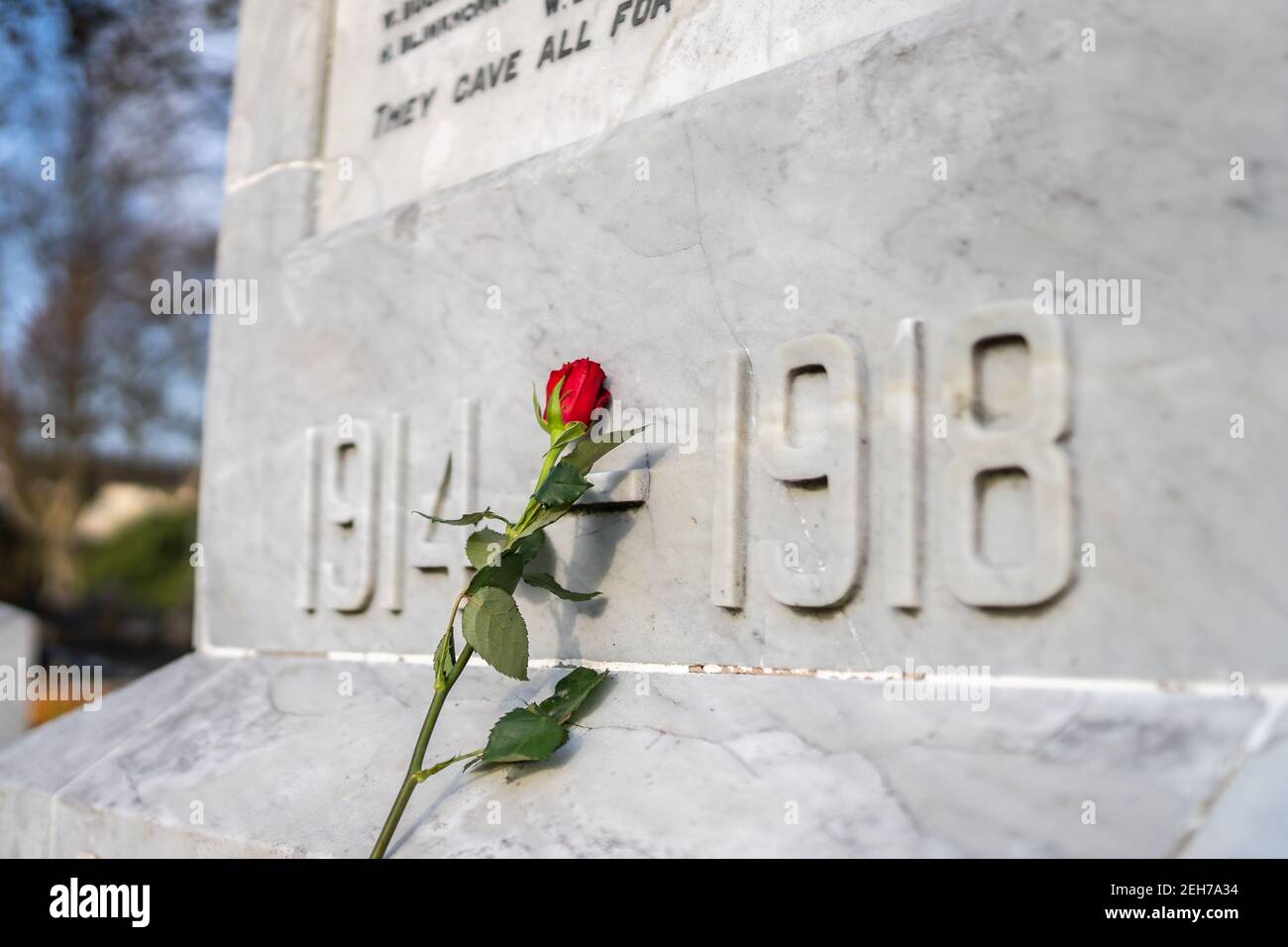 Einzelne rote Rose gegen Marmor Great war Soldier Memorial platziert Am Sonntag, 11th. November Gedenktag für die Verlorenen Ihr Leben 1914 1918 Stockfoto