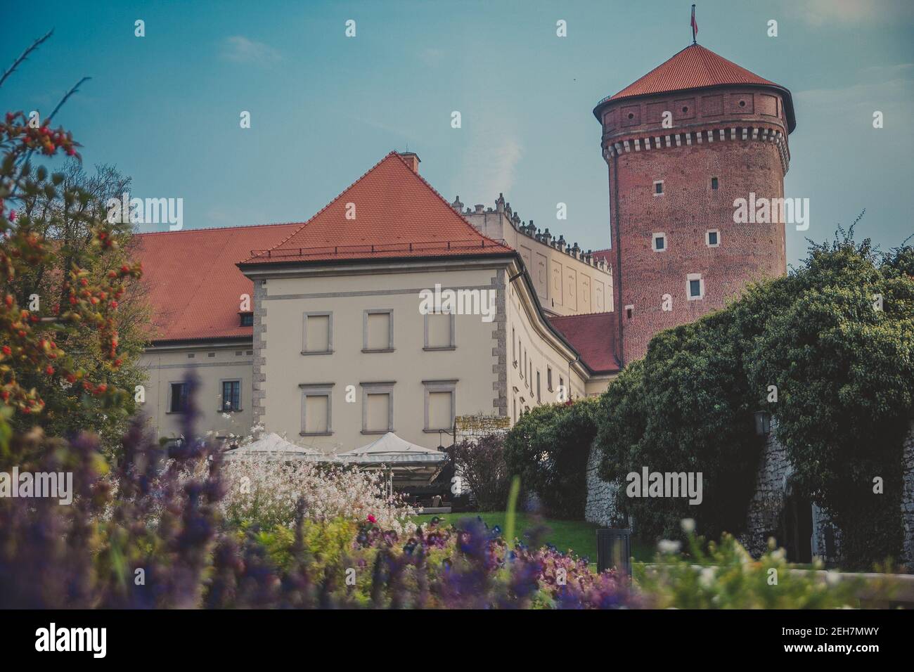 Wawel Senator Turm mit Schloss, Rasen, Efeu, Regenschirme, Blumen und Sträucher Stockfoto
