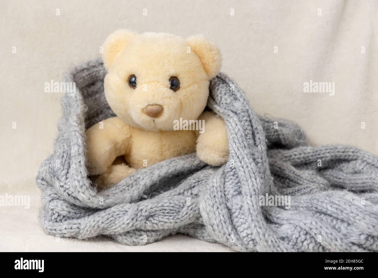 Ein Stofftier Teddybär sitzt gekleidet in einer Strickdecke.Kinder Spielzeug. Stockfoto