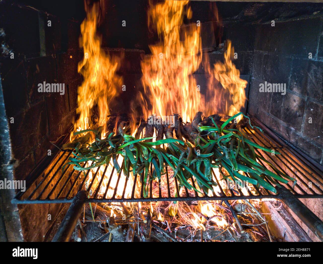 Feuer im Kamin mit calçots typìcal Essen von Valls Tarragona  Stockfotografie - Alamy