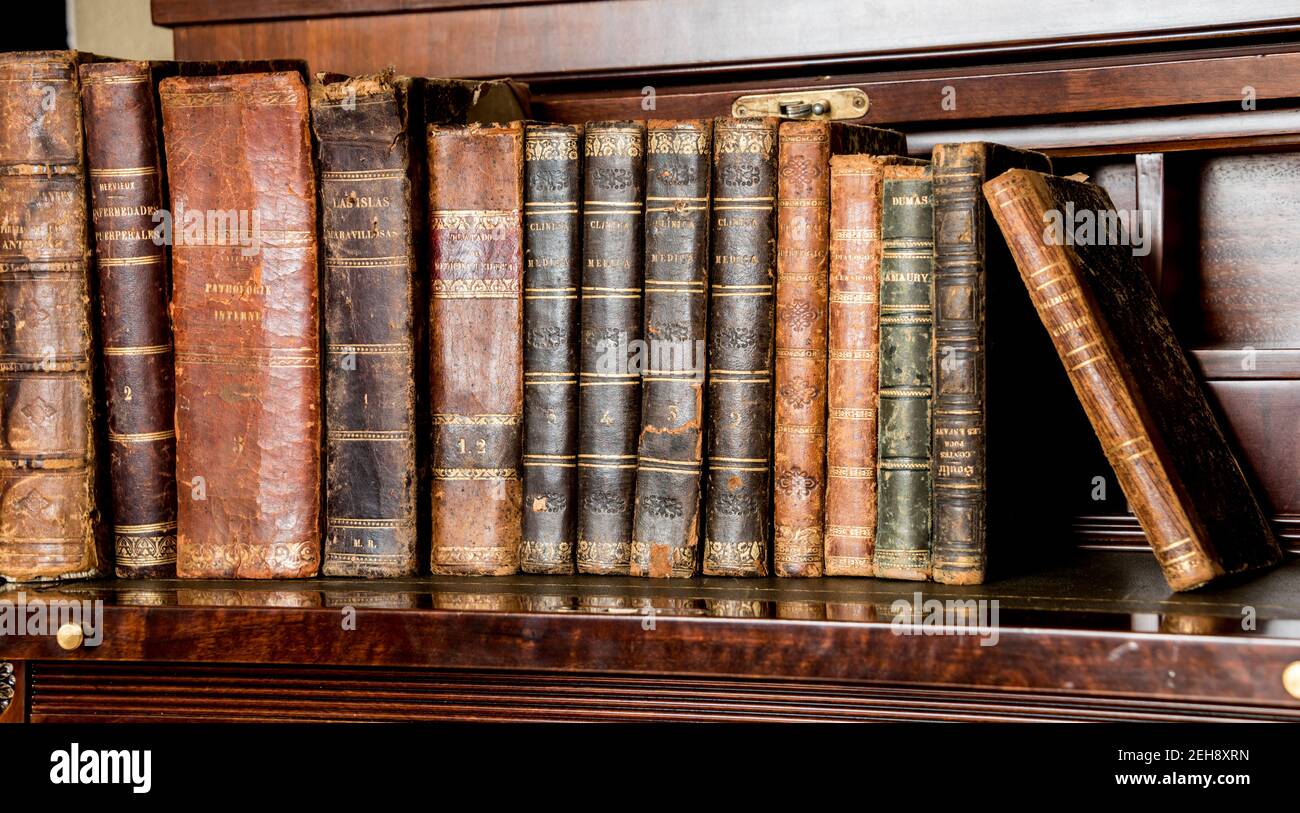 Alte Bücher auf Holzregal gelegt Stockfoto