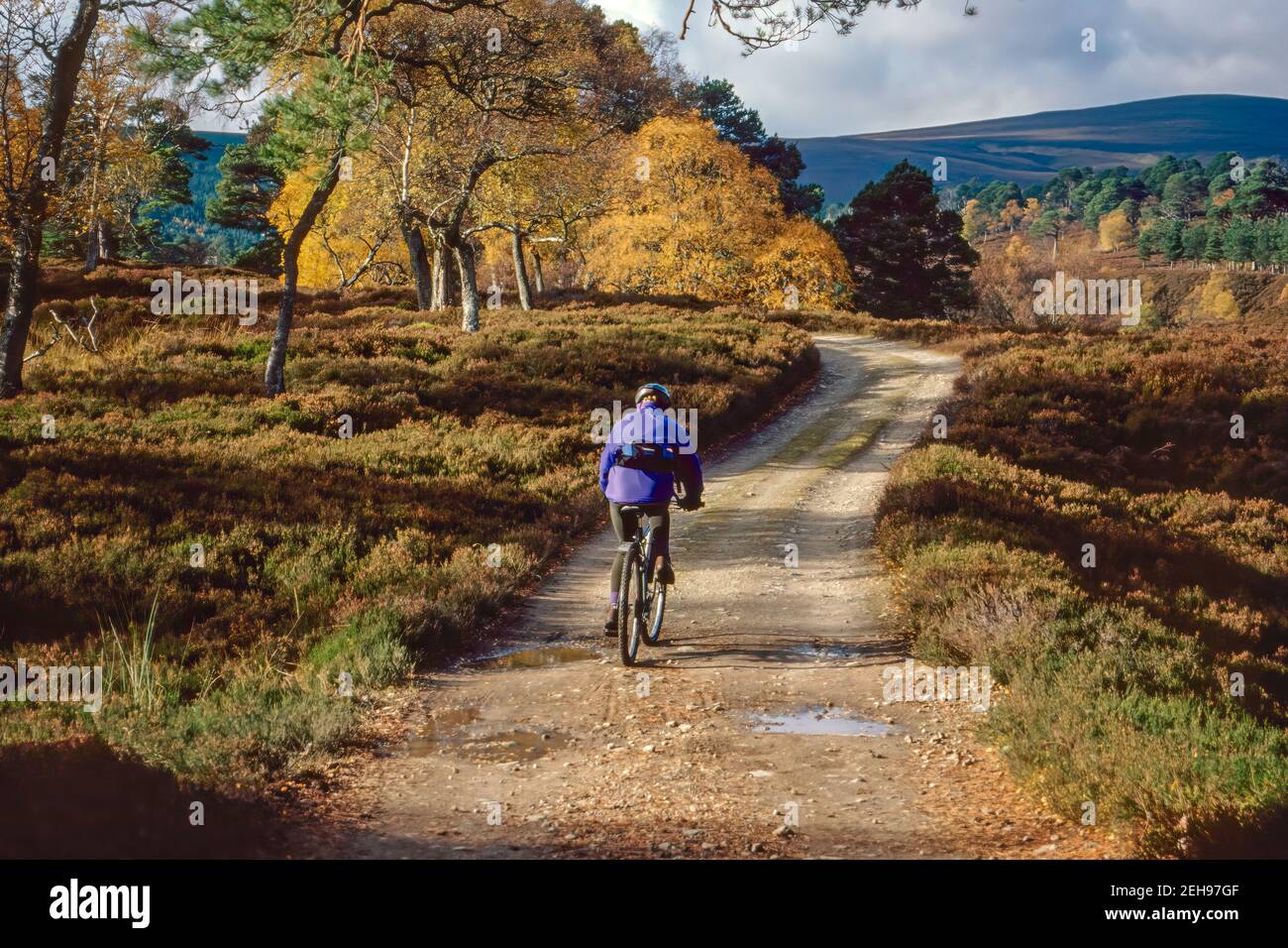Mountainbiken in Glen Quoich im Cairngorm Nationalpark Schottland Stockfoto