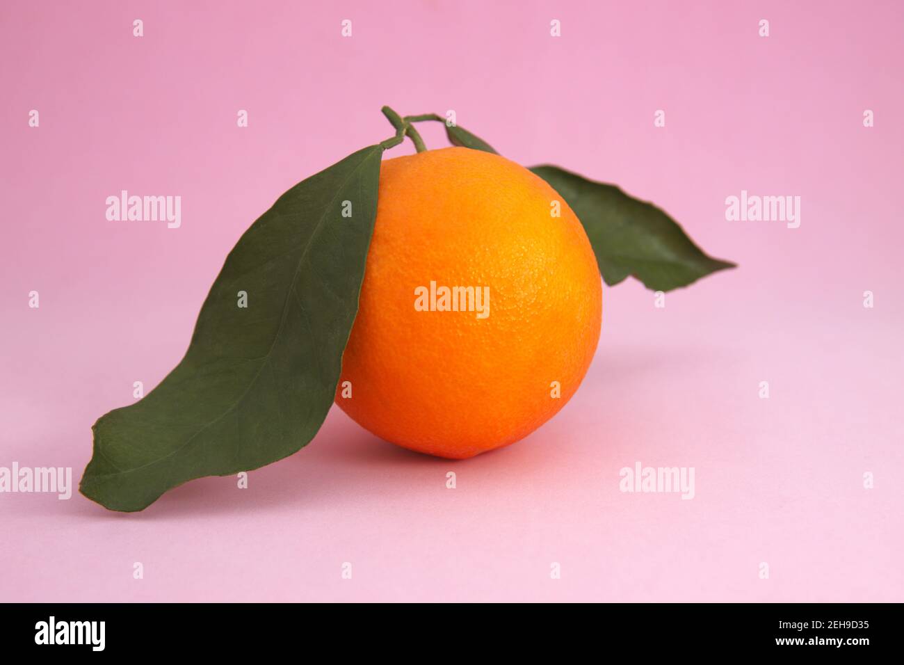 Eine reife Orange mit Blättern isoliert auf einem hellrosa Farbverlauf Hintergrund, mit Kopierraum Stockfoto