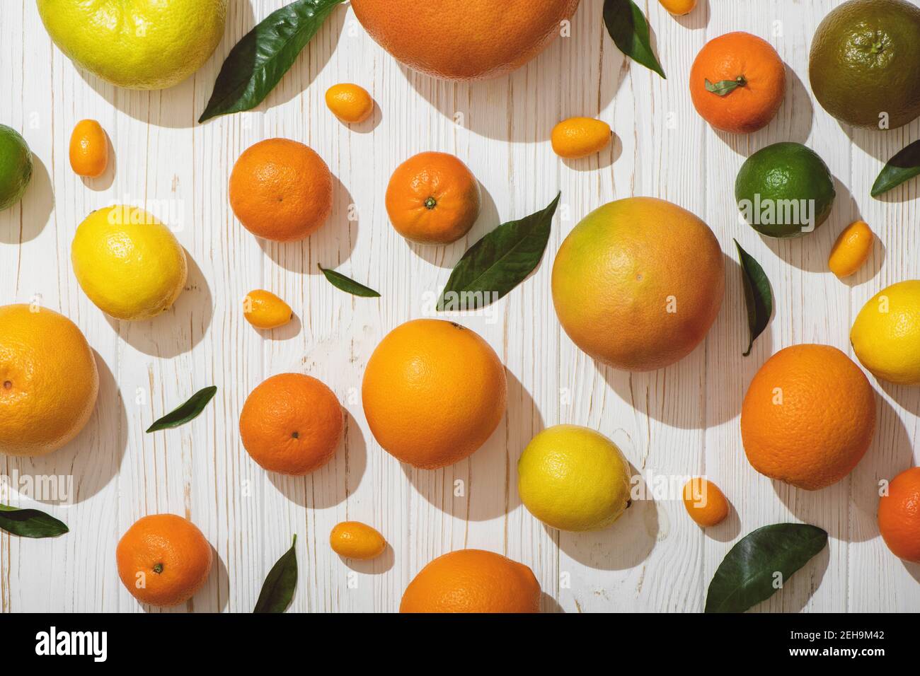 Set von frischen Zitrusfrüchten auf weißem Holzhintergrund. Stockfoto