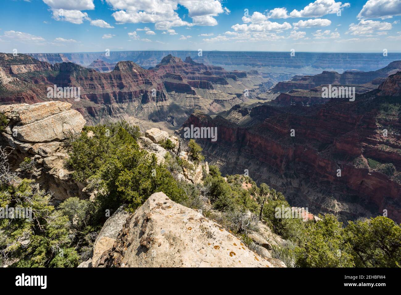 Nordrand des Grand Canyon im Norden von Arizona, USA Stockfoto