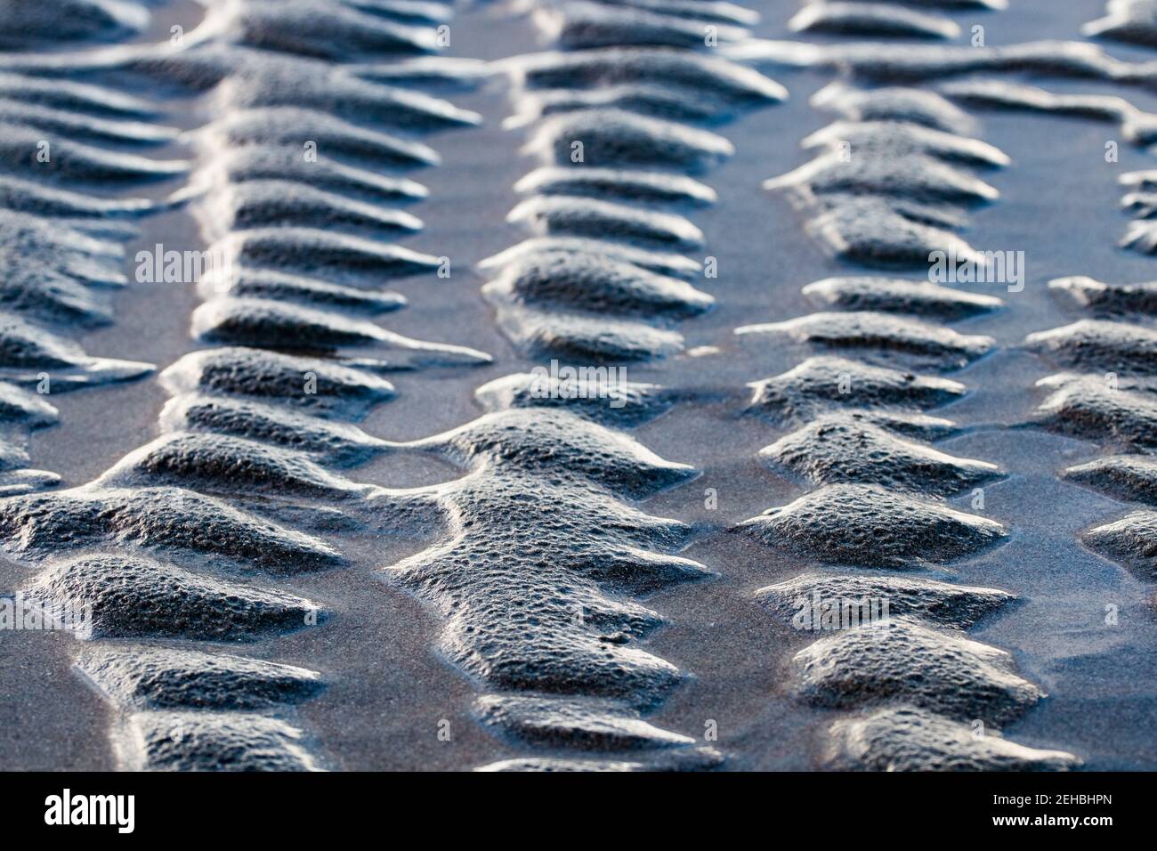 Abstrakte Struktur am Strand. Einheitliche Sandballen aufgereiht, durch das Wasser bei Ebbe gebildet. Strand in Holland Stockfoto