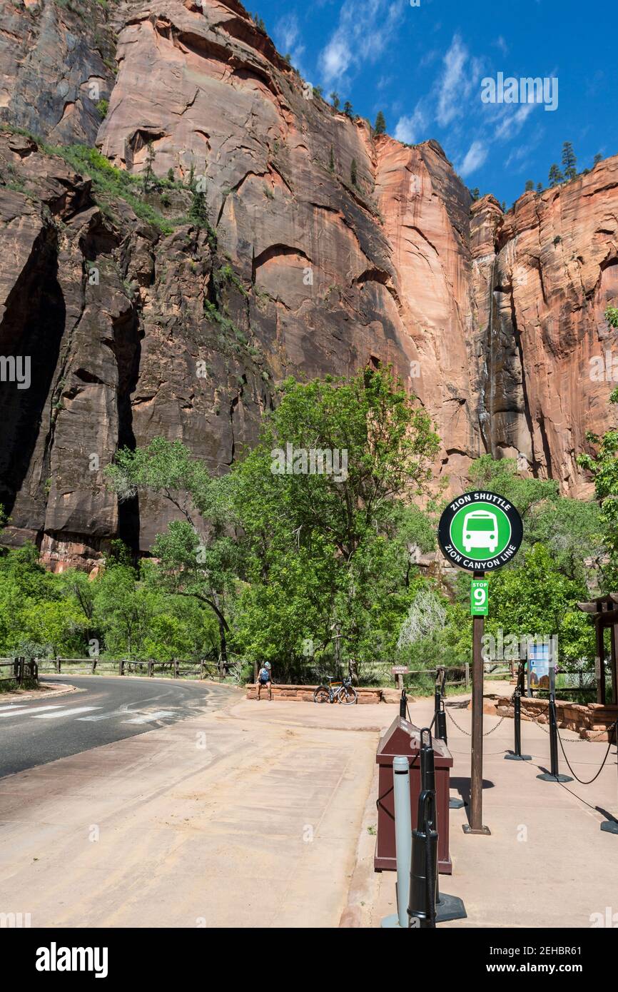 Zion National Park im Südwesten von Utah, USA Stockfoto