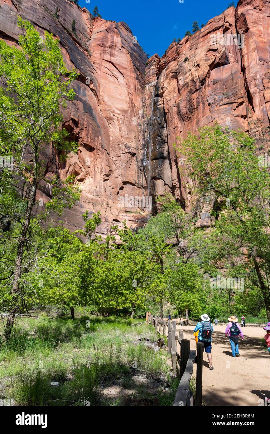 Zion National Park im Südwesten von Utah, USA Stockfoto