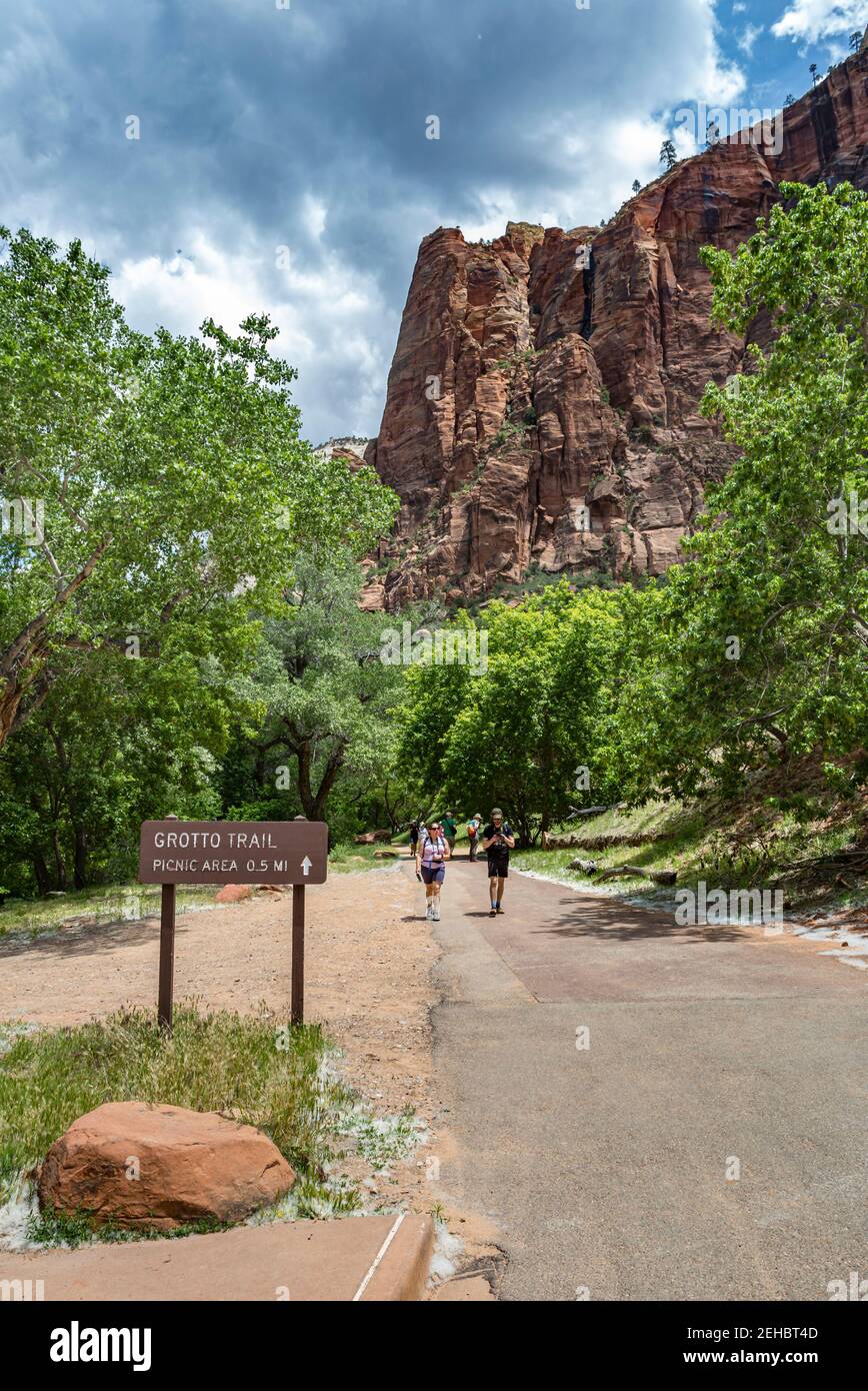 Zion National Park im Südwesten von Utah, USA Stockfoto