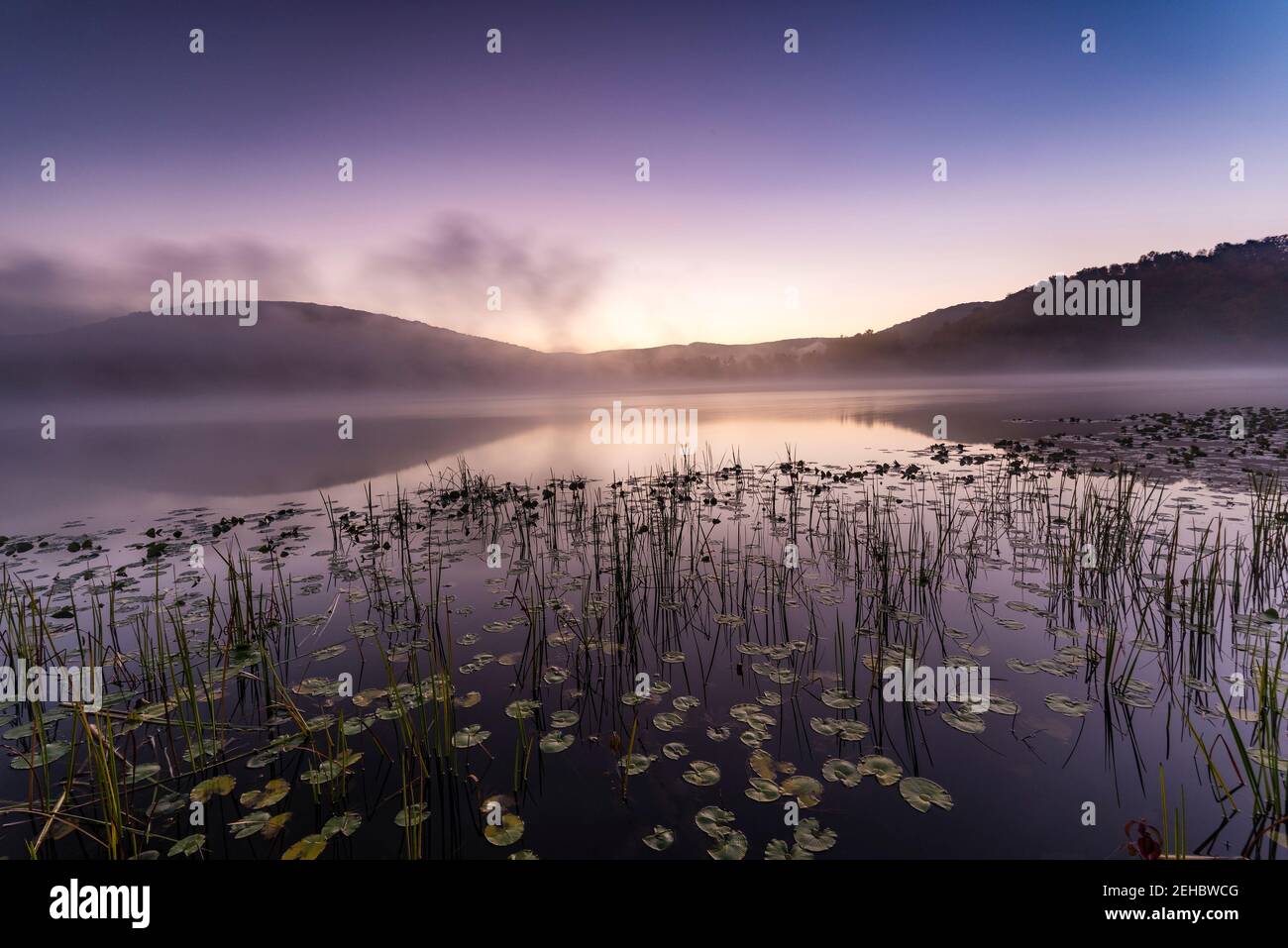 Dawn am Red House Lake, Allegany State Park, Cattaraugus County, New York Stockfoto