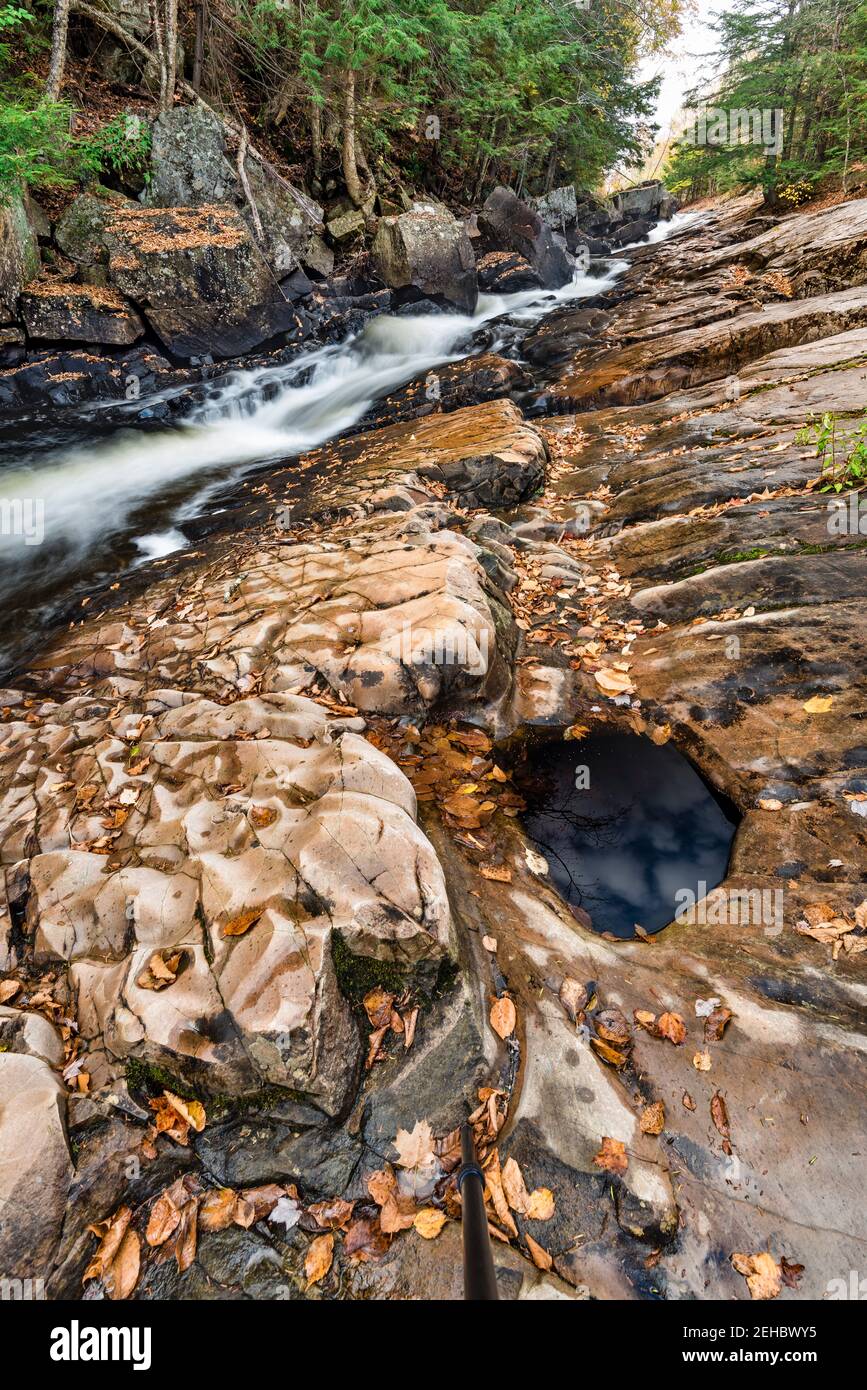 Blätter verstreuen die Ufer der Austin Falls auf dem Saandaga River im Herbst, Adirondack Mountains, Hamilton County, New York Stockfoto
