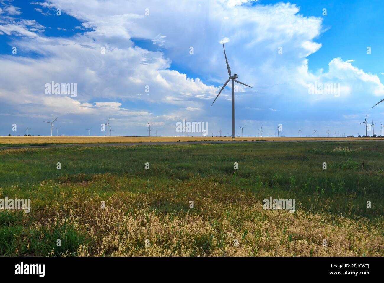 Windfarm, Clarendon Texas, südlich der Interstate 40 Route 70 Gray County Texas. Am späten Nachmittag Sonne mit bewölktem Himmel im Hintergrund. Stockfoto