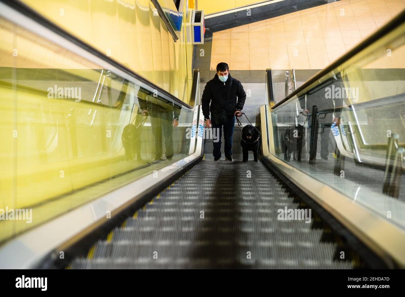 Blinder Mann, der mit Blindenhund auf der Rolltreppe läuft Stockfoto