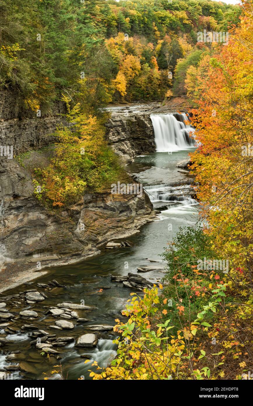 Der Genesee River fließt im Herbst über die Lower Falls im Letchworth State Park, Wyoming County, NY Stockfoto