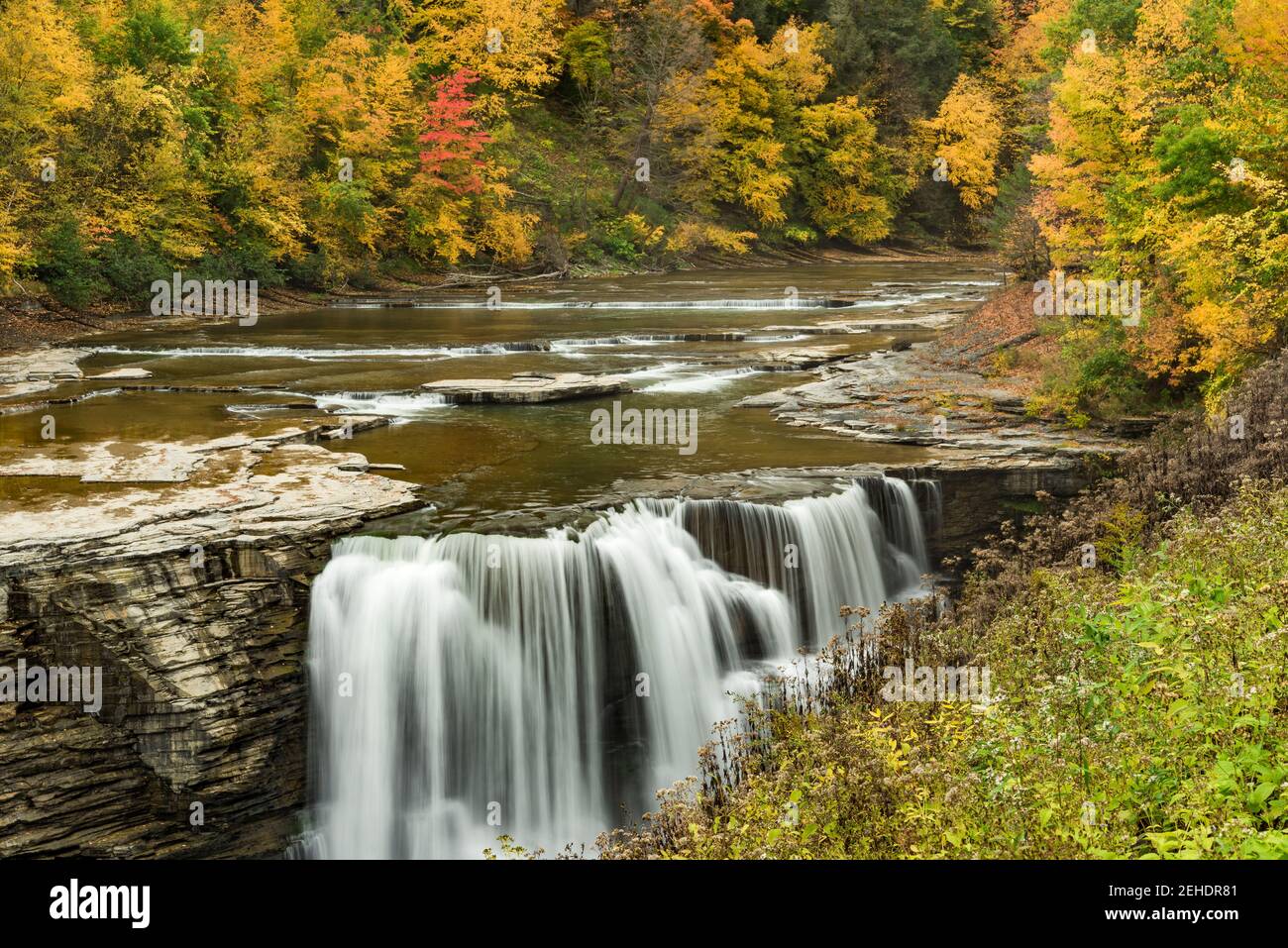 Der Genesee River fließt im Herbst über die Lower Falls im Letchworth State Park, Wyoming County, NY Stockfoto