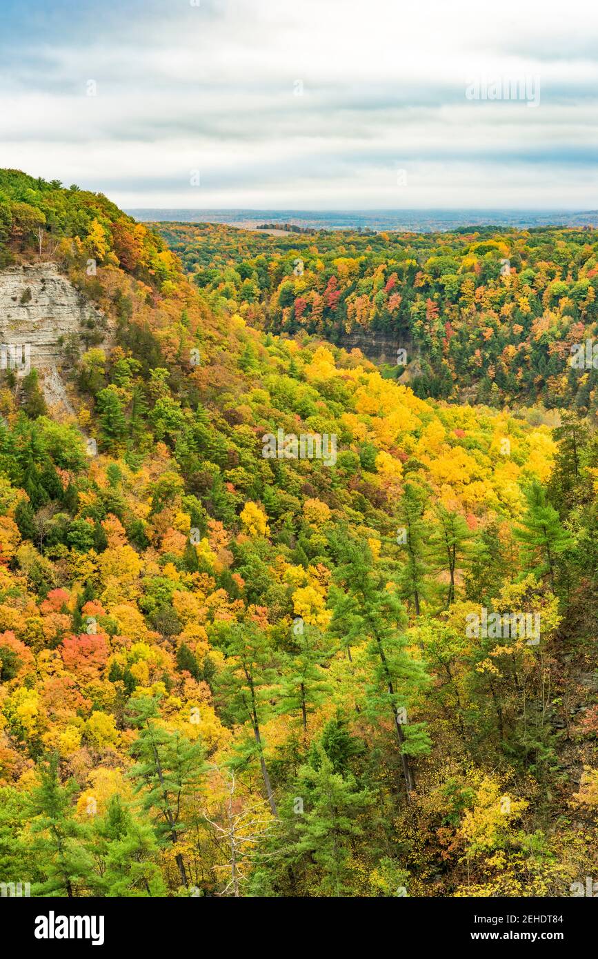 Great Bend and Gorge im Letchworth State Park, Wyoming County, New York Stockfoto