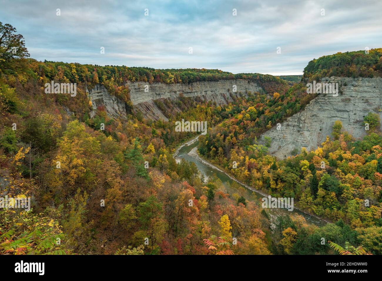 Great Bend, Genesee River und Gorge im Morgenlicht im Letchworth State Park, Wyoming County, New York Stockfoto
