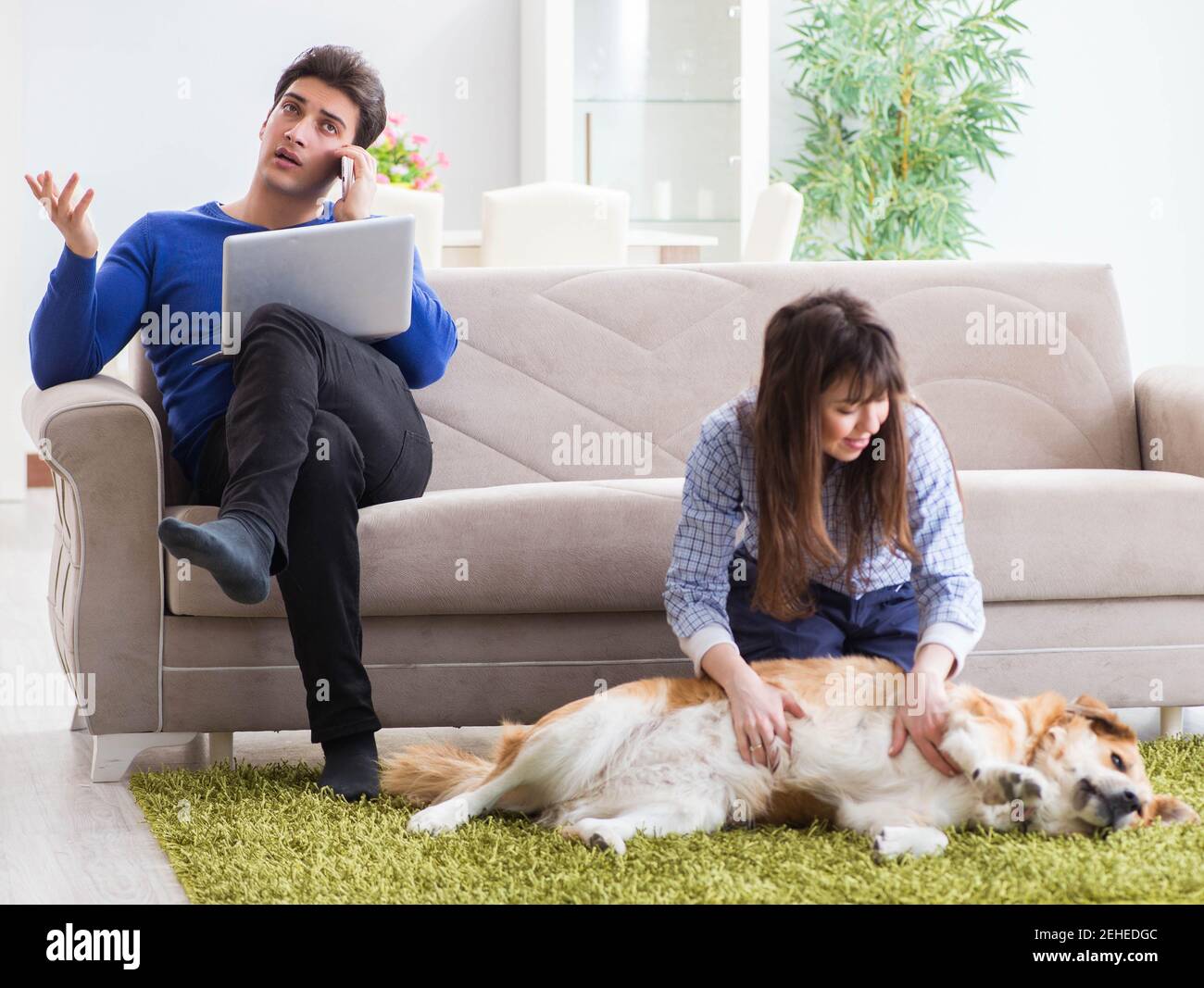 Der Mann, der Allergie von hundefellen Stockfoto