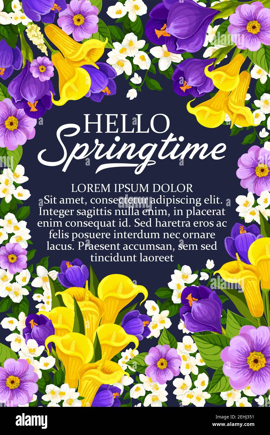 Hallo Frühling wünscht Plakat von Narzissen, Tulpen und Krokussen Bouquet und saisonalen Frühling Zitate. Vector floralen Design der Frühling Schneeglöckchen, cro Stock Vektor