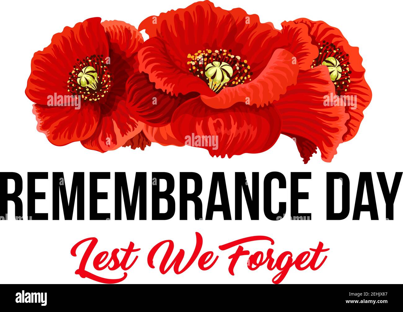 Mohnblumen und damit wir nicht vergessen Symbol für Gedenktag von Anzac oder Commonwealth Krieg Gedenken. Vector rot Mohnsymbol für 11 November oder 22 AP Stock Vektor