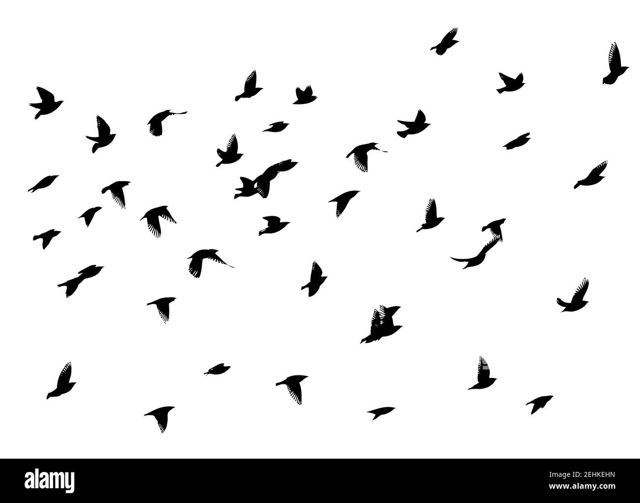 Eine große Schar fliegender Vögel. Vektorgrafik Stock Vektor