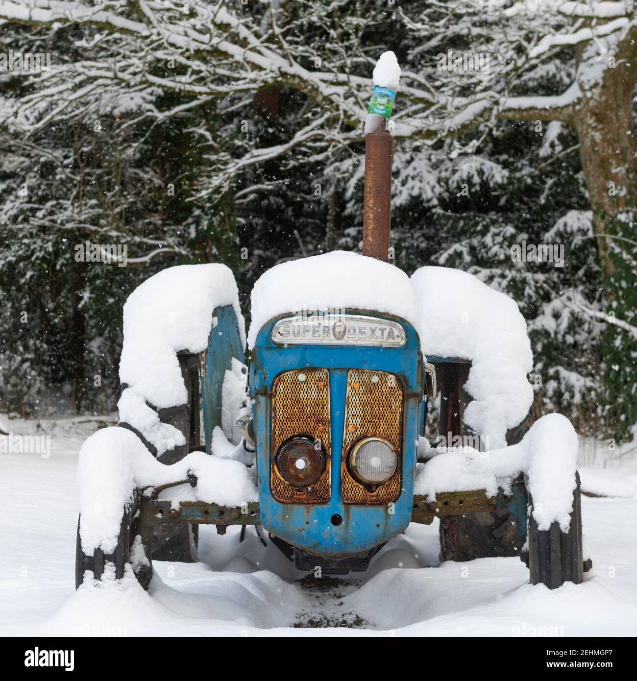 Fordson Super Dexta Traktor im Schnee Foto Phil Wilkinson / Alamy Stockfoto