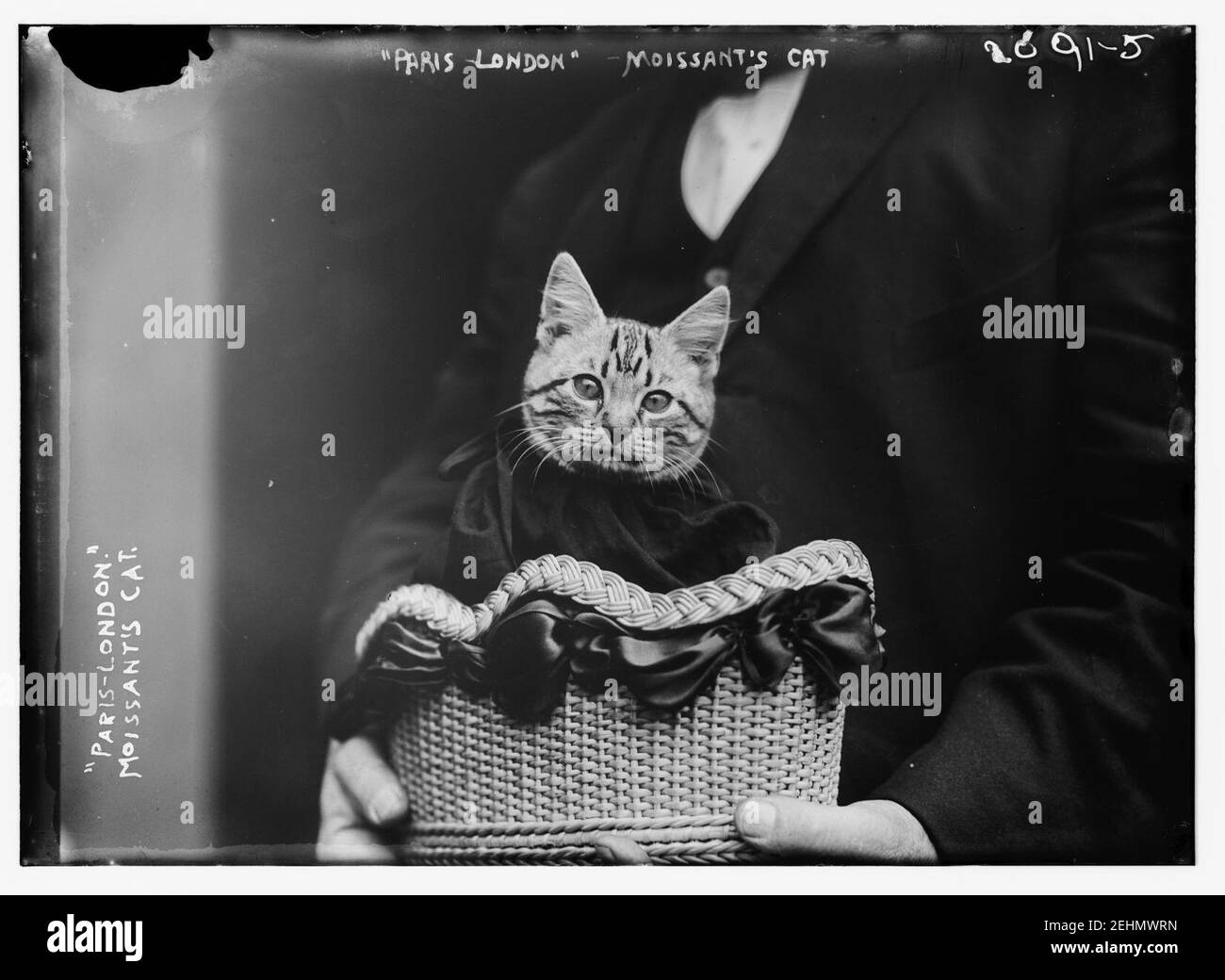 Paris-London Moissant's Cat Stockfoto