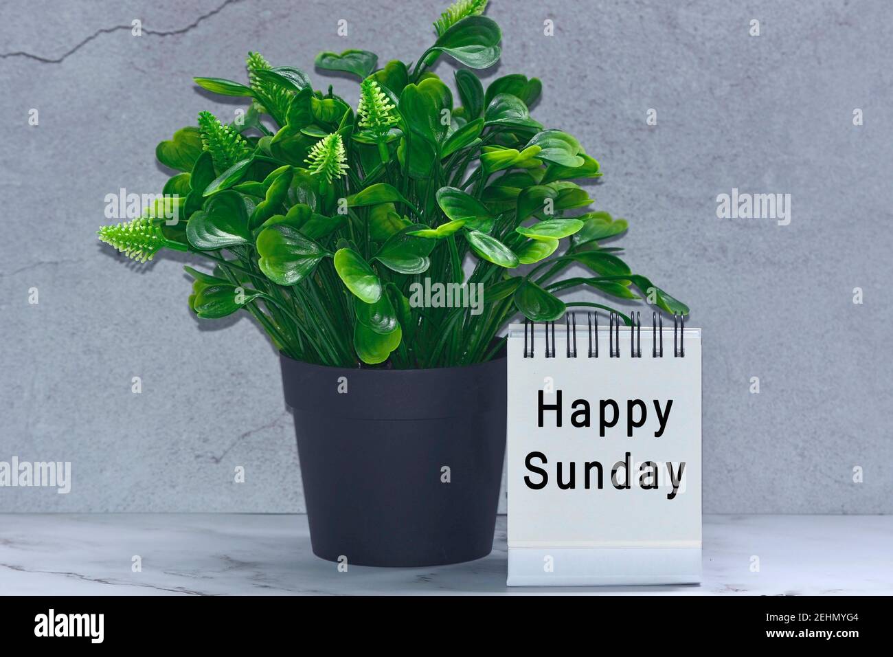 Text auf weißem Standpapier mit grünem Pflanzenhintergrund Stockfoto