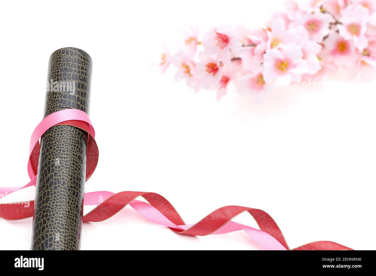 Japanischer Diplomhalter mit Band isoliert auf weißem Hintergrund Stockfoto