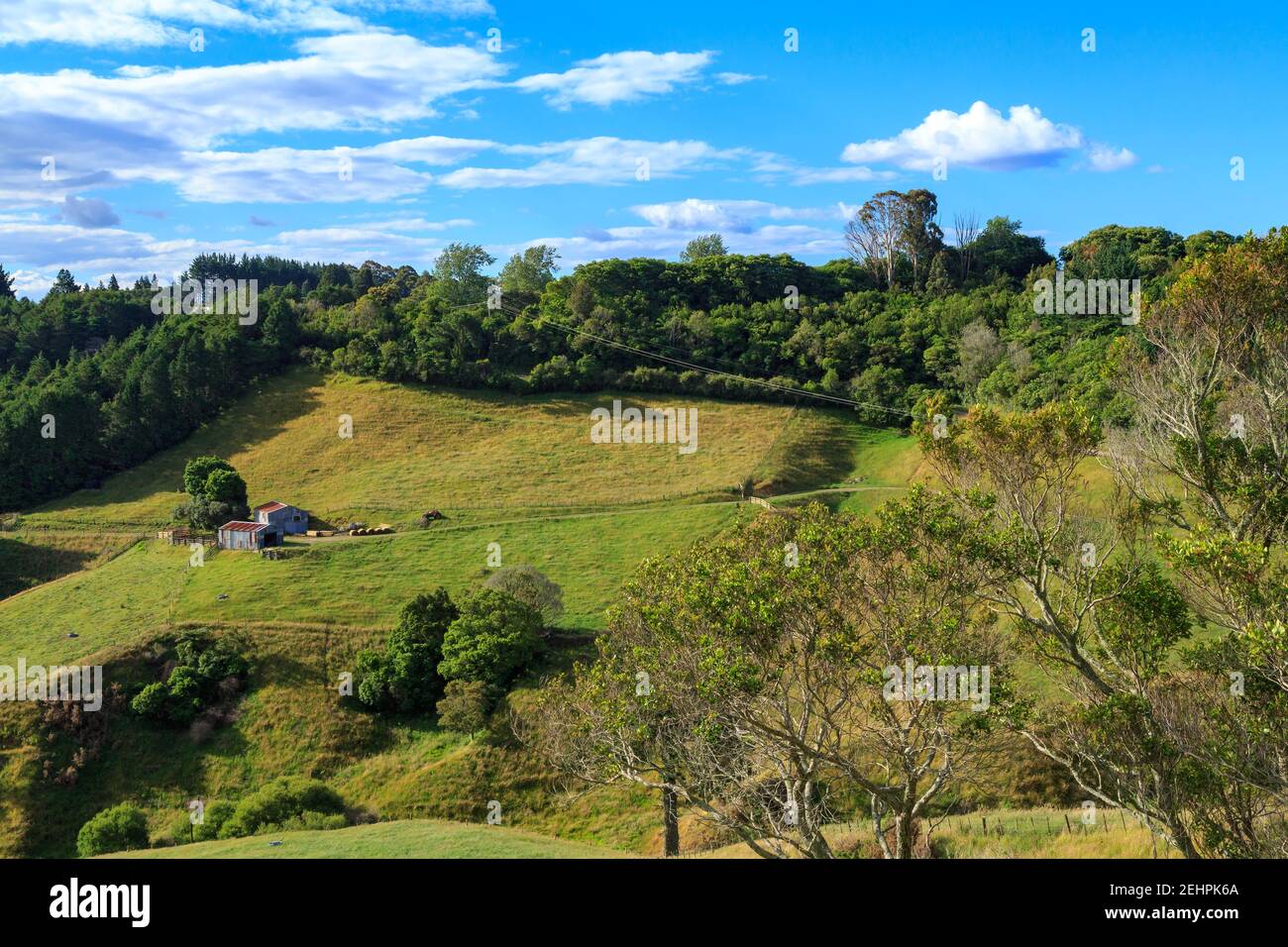 Ländliche Hügellandschaft in der Bay of Plenty, Neuseeland. Zwei Metallbarnen stehen in einer Landschaft aus Grasfeldern und Wäldern Stockfoto